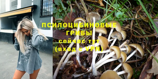 Альфа ПВП Бугульма