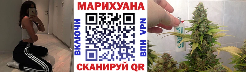 Канабис SATIVA & INDICA  Ершов 